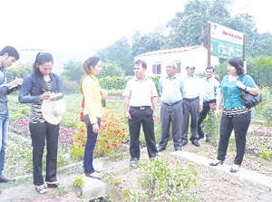 Đại diện các siêu thị ở Hà Nội tham quan mô hình rau hữu cơ ở xóm Mòng, thị trấn Lương Sơn (Lương Sơn) để ký hợp đồng bao tiêu sản phẩm.

